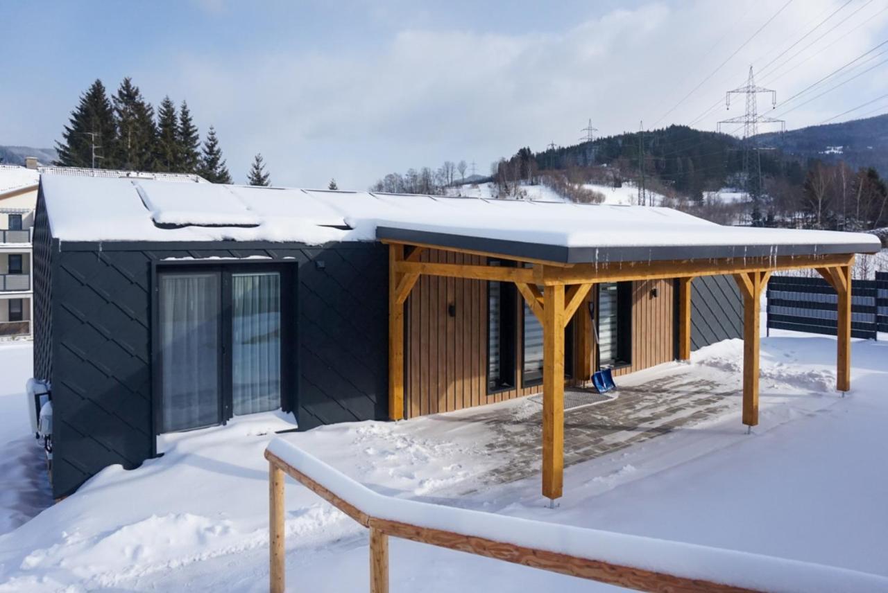Chalet Stuhleckblick-Ferienhaus Direkt An Der Piste Und Mit Eigener Sauna Spital am Semmering Exterior foto